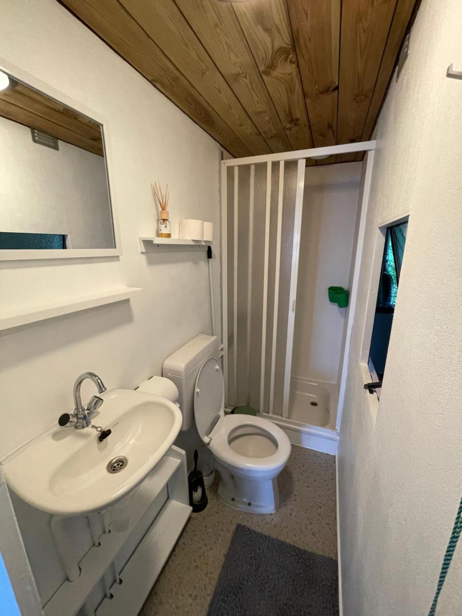 Chalet Friesland H17 - 5 Pers Westergeest Zewnętrze zdjęcie